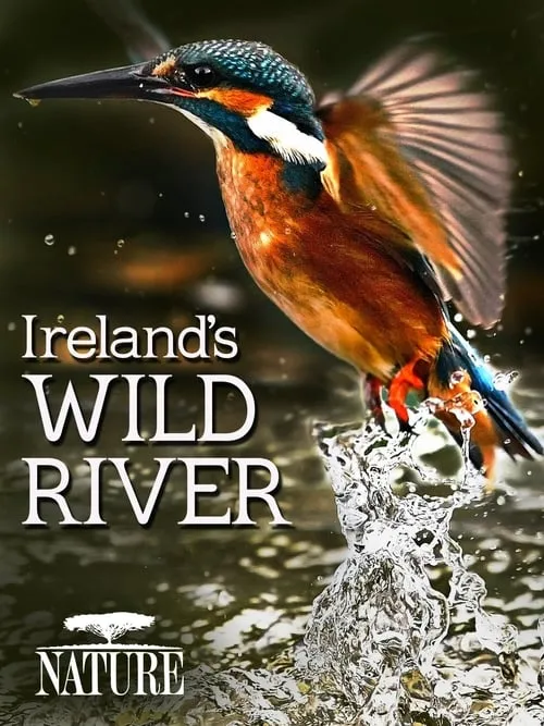 Ireland's Wild River (фильм)