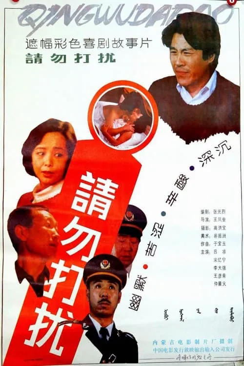 请勿打扰 (movie)