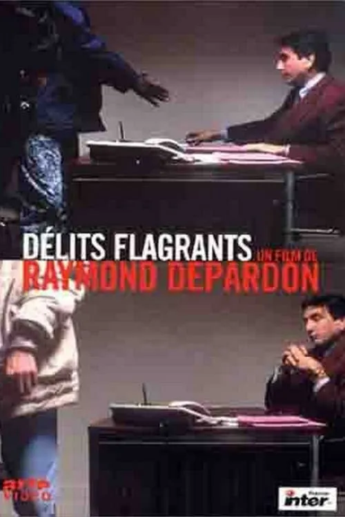 Délits flagrants (movie)