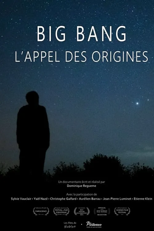 Big bang, l'appel des origines (фильм)