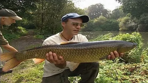 Days 15-16 Crucian and Grass Carp