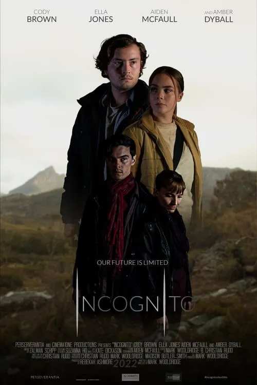 Incognito (movie)