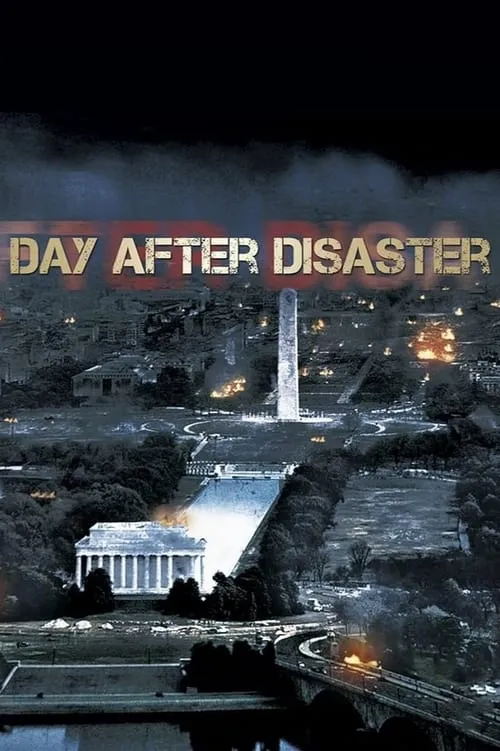 Day After Disaster