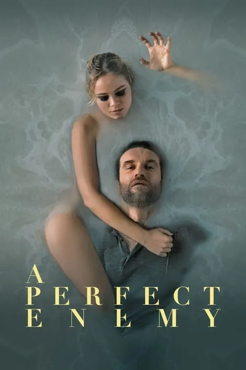A Perfect Enemy (movie)
