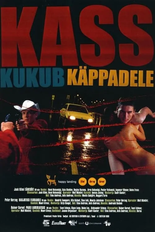 Kass kukub käppadele