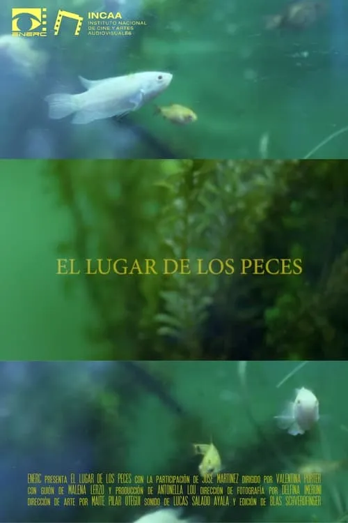 El Lugar de los Peces (фильм)