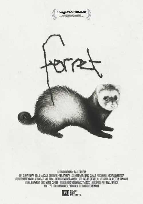 Ferret