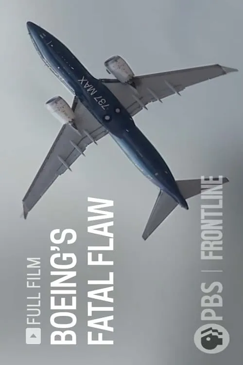 Boeing's Fatal Flaw (фильм)