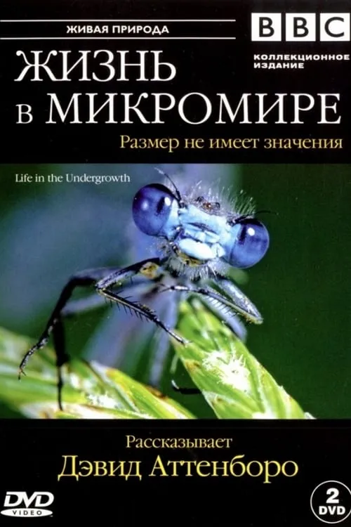 Жизнь в микромире