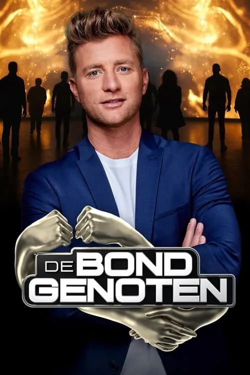 De Bondgenoten (сериал)