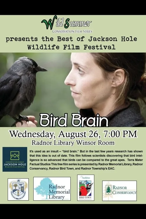 Bird Brain (movie)