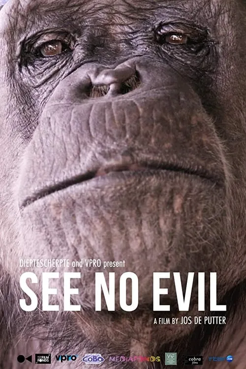 See No Evil (movie)