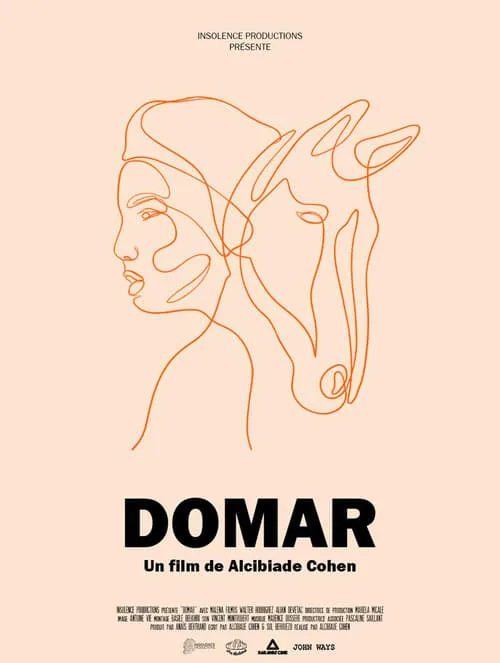 Domar (фильм)