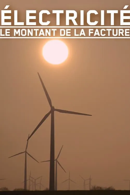 Electricité, le montant de la facture (фильм)