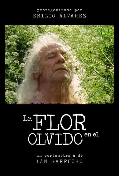 La flor en el olvido (movie)