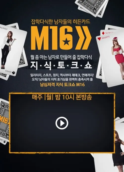 잡식남들의 히든카드 M16 (series)