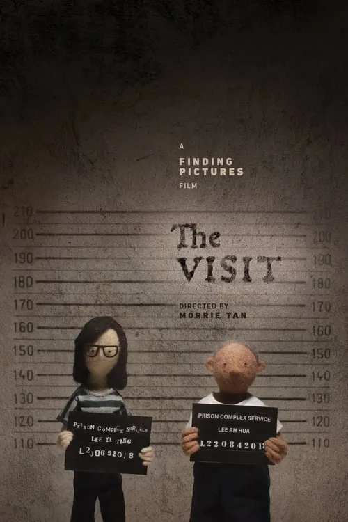 The Visit (фильм)