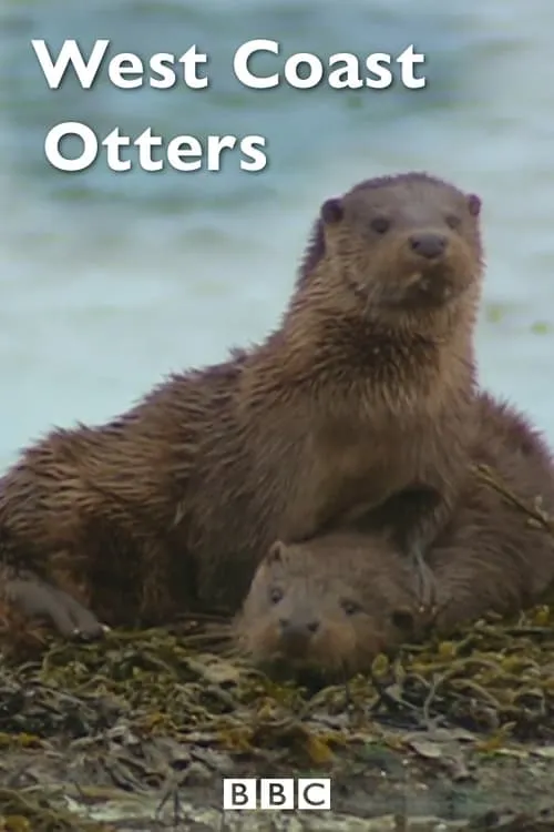 West Coast Otters (movie)