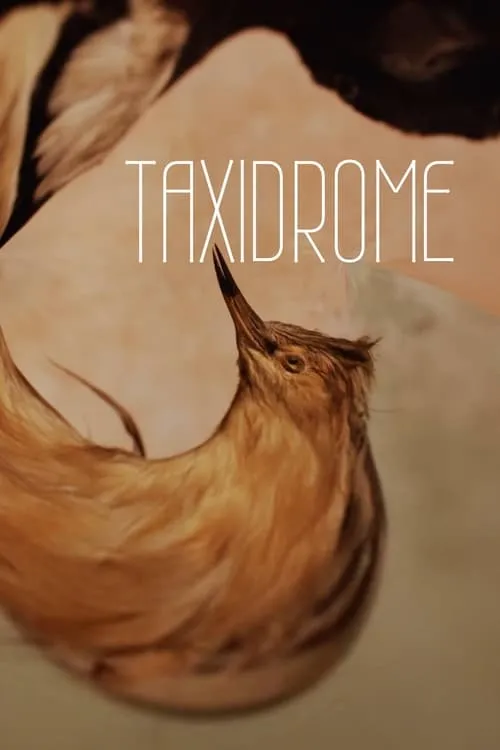 Taxidrome (movie)