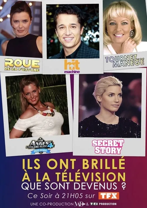 Ils ont brillé à la télé : que sont-ils devenus ? (фильм)