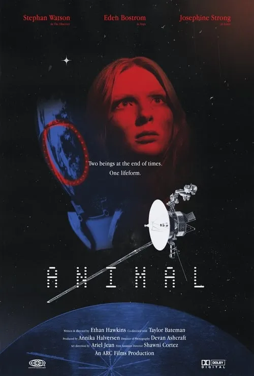 Animal (фильм)