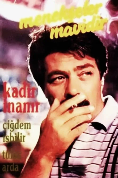 Menekşeler Mavidir (movie)