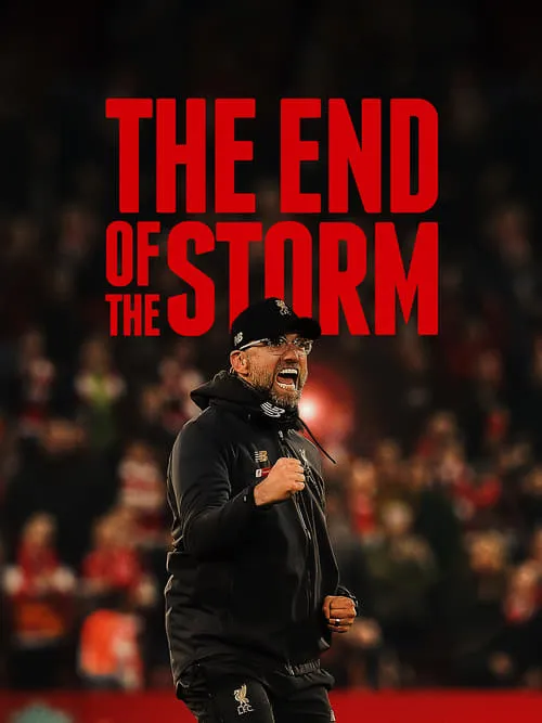 The End of the Storm (movie)