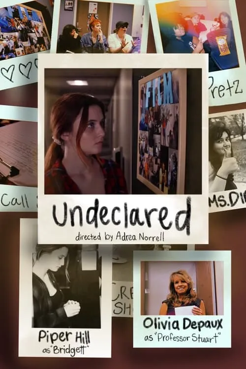 Undeclared (movie)