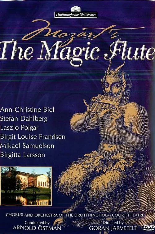 Mozart: The Magic Flute (movie)