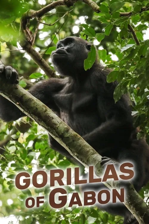 Gorillas of Gabon (фильм)