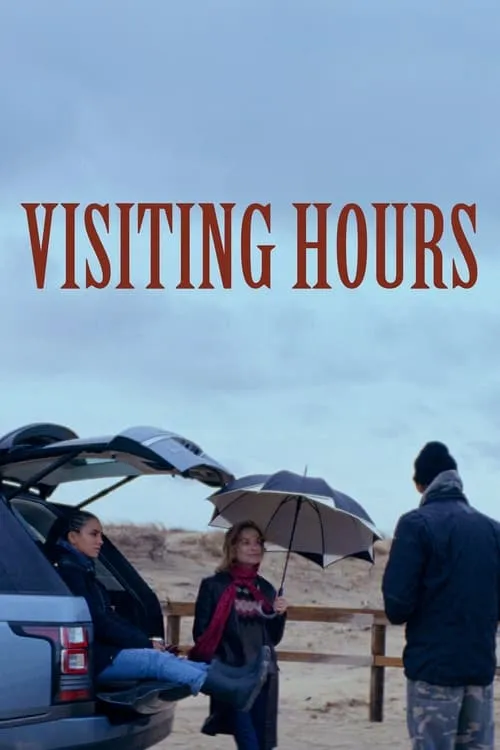 Visiting Hours (movie)