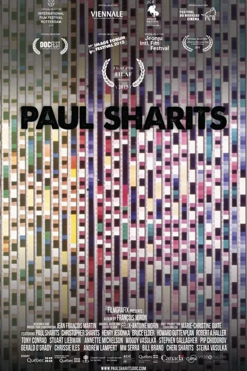 Paul Sharits (movie)