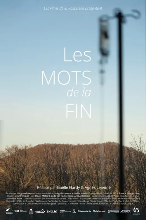 Les mots de la fin (фильм)