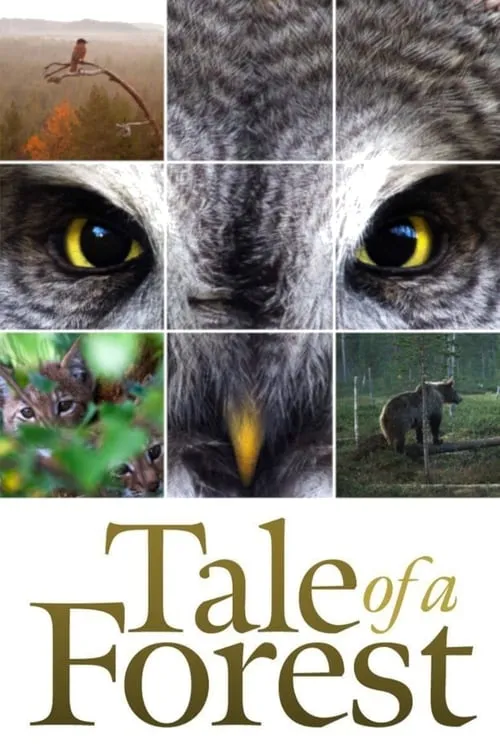 Tale of a Forest (movie)