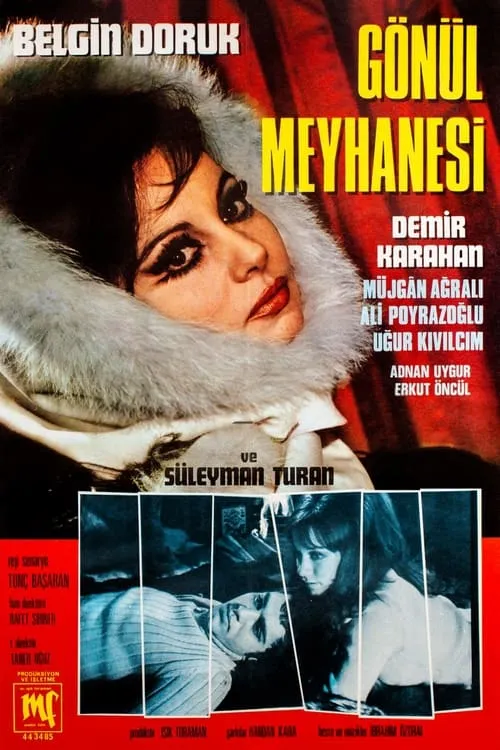 Gönül Meyhanesi (movie)