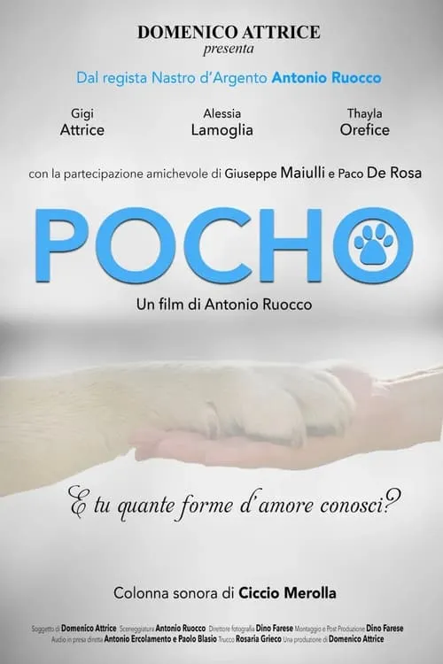 Pocho (movie)