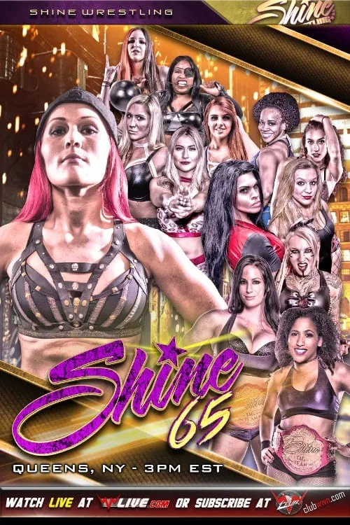 SHINE 65 (movie)