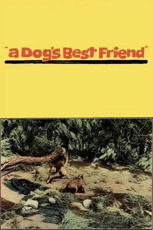 A Dog's Best Friend (фильм)