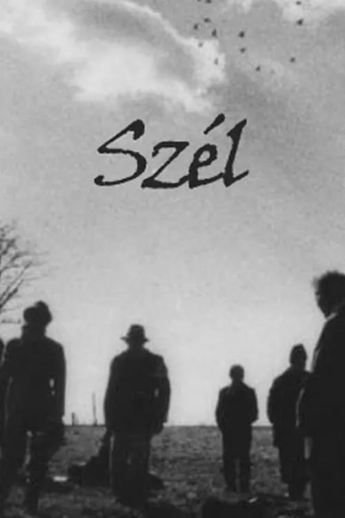 Szél