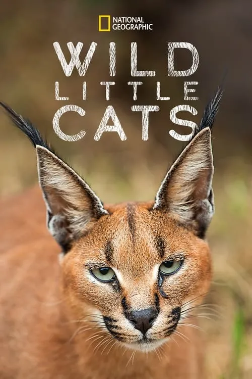 Wild Little Cats (movie)