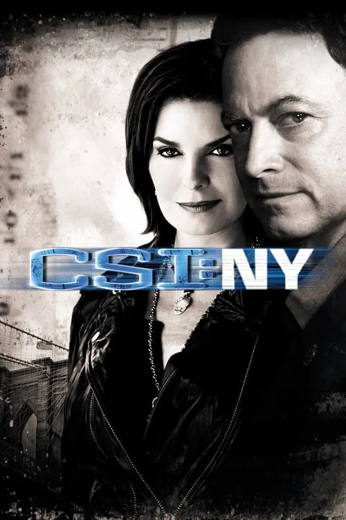 CSI: NY (series)