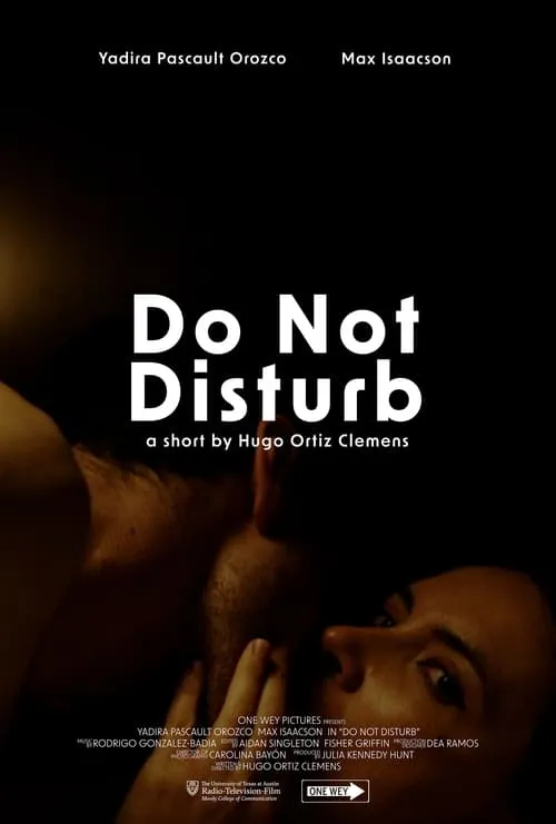 Do Not Disturb (фильм)