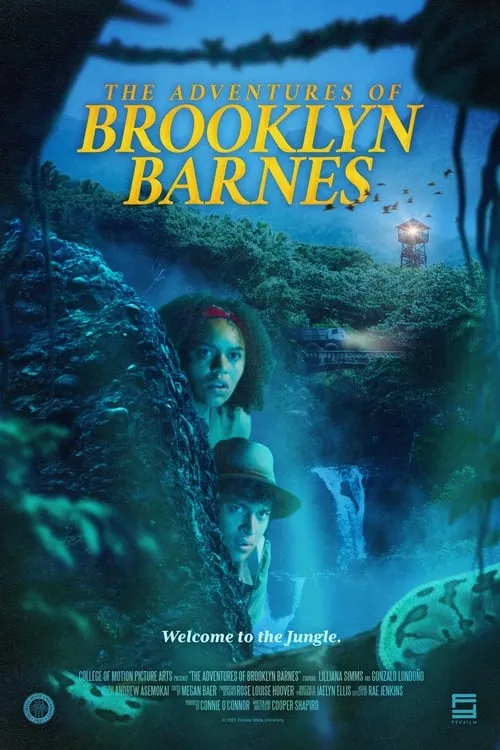 The Adventures of Brooklyn Barnes (фильм)