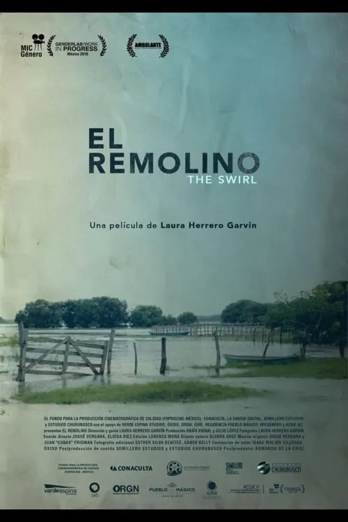 El Remolino (фильм)