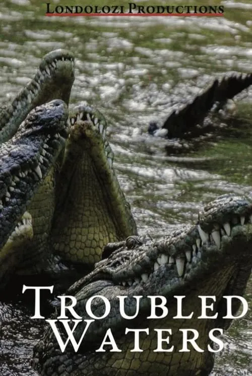 Troubled Waters (movie)