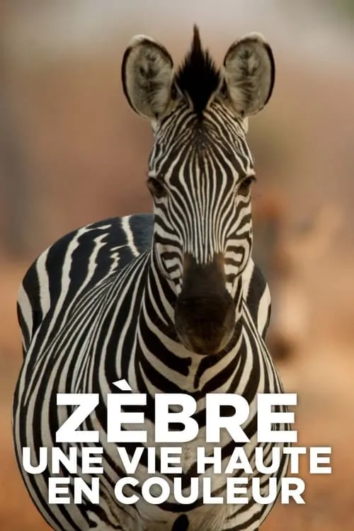 Zebre, une vie haute en couleur (фильм)