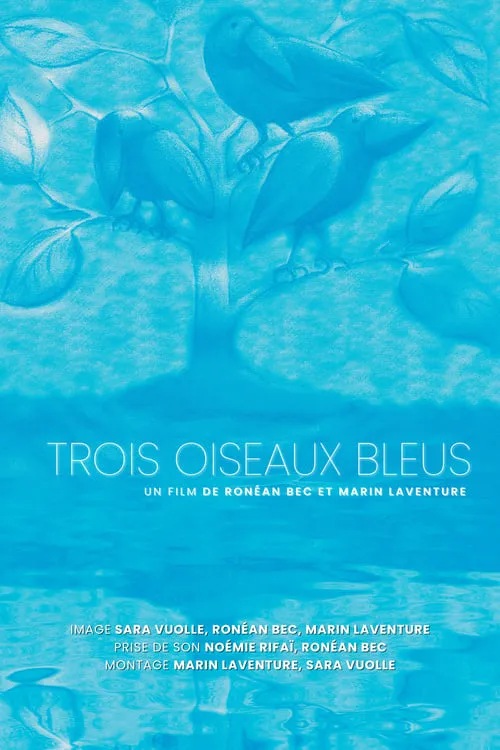 Trois oiseaux bleus