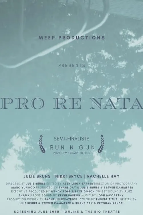 Pro Re Nata (movie)