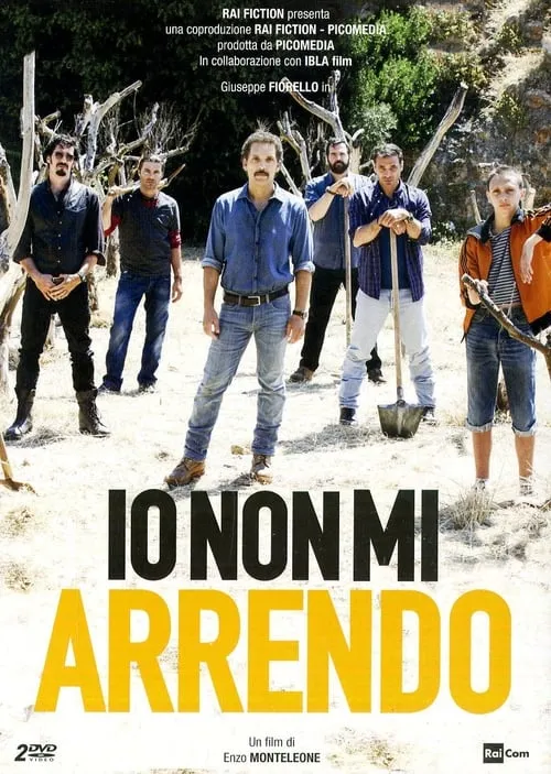 Io non mi arrendo (series)