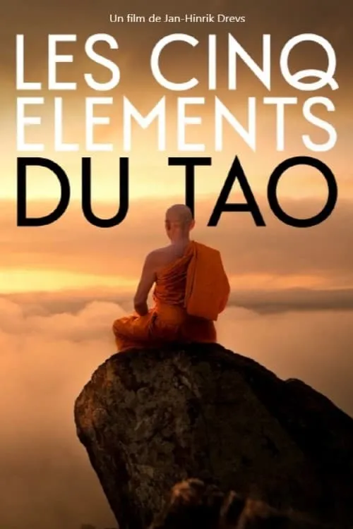 Balance of the Five Elements (movie)